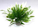 Augalas plastikinis Aquatic leaves 12cm